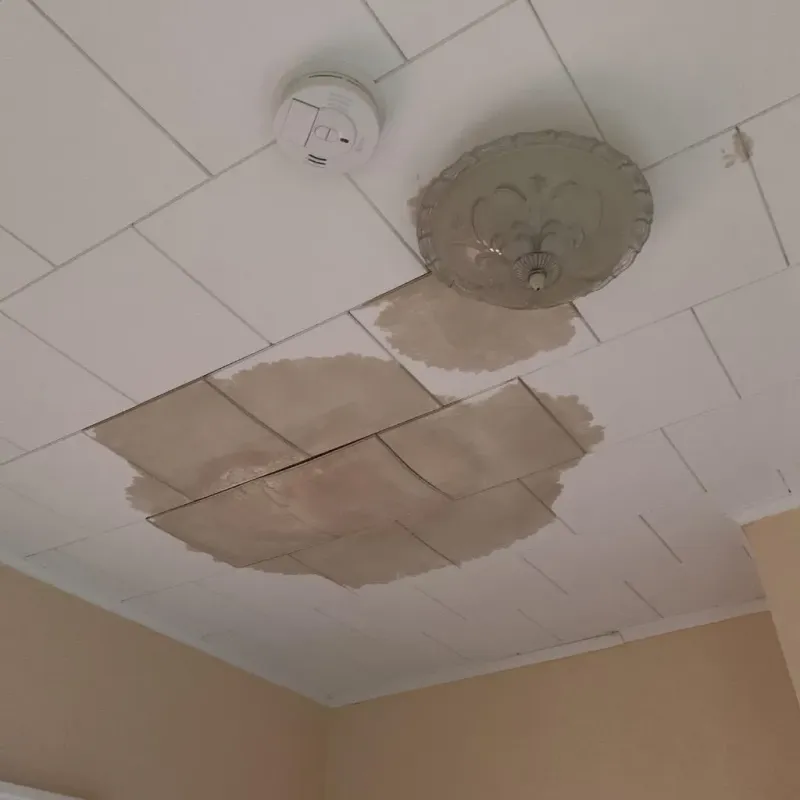 Ceiling Water Damage Repair in Sedgwick, KS