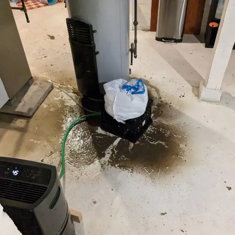 Sewage Backup Cleanup Service in Sedgwick, KS
